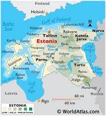 polacy rejestrują w estonii